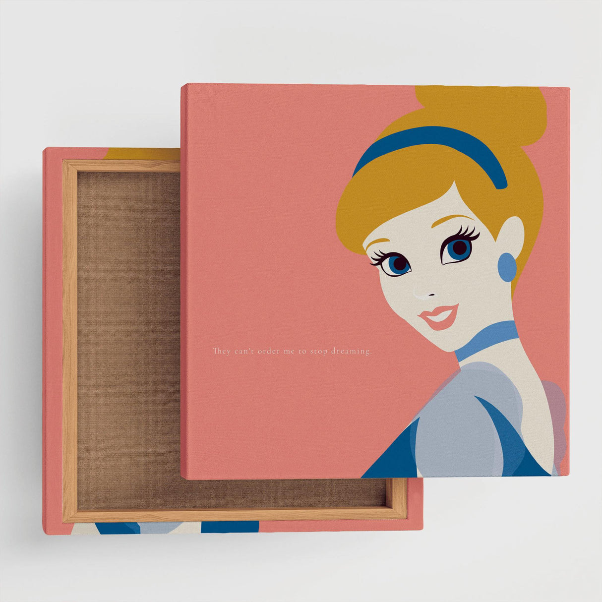 Cinderella Art Panel Fabric Board Disney dsn-0303