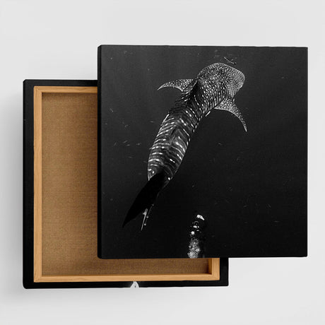 楠哲也氏が撮影したインテリア小物|水中 壁掛け アート kus-0001 - ArtDeli. アートパネル専門店