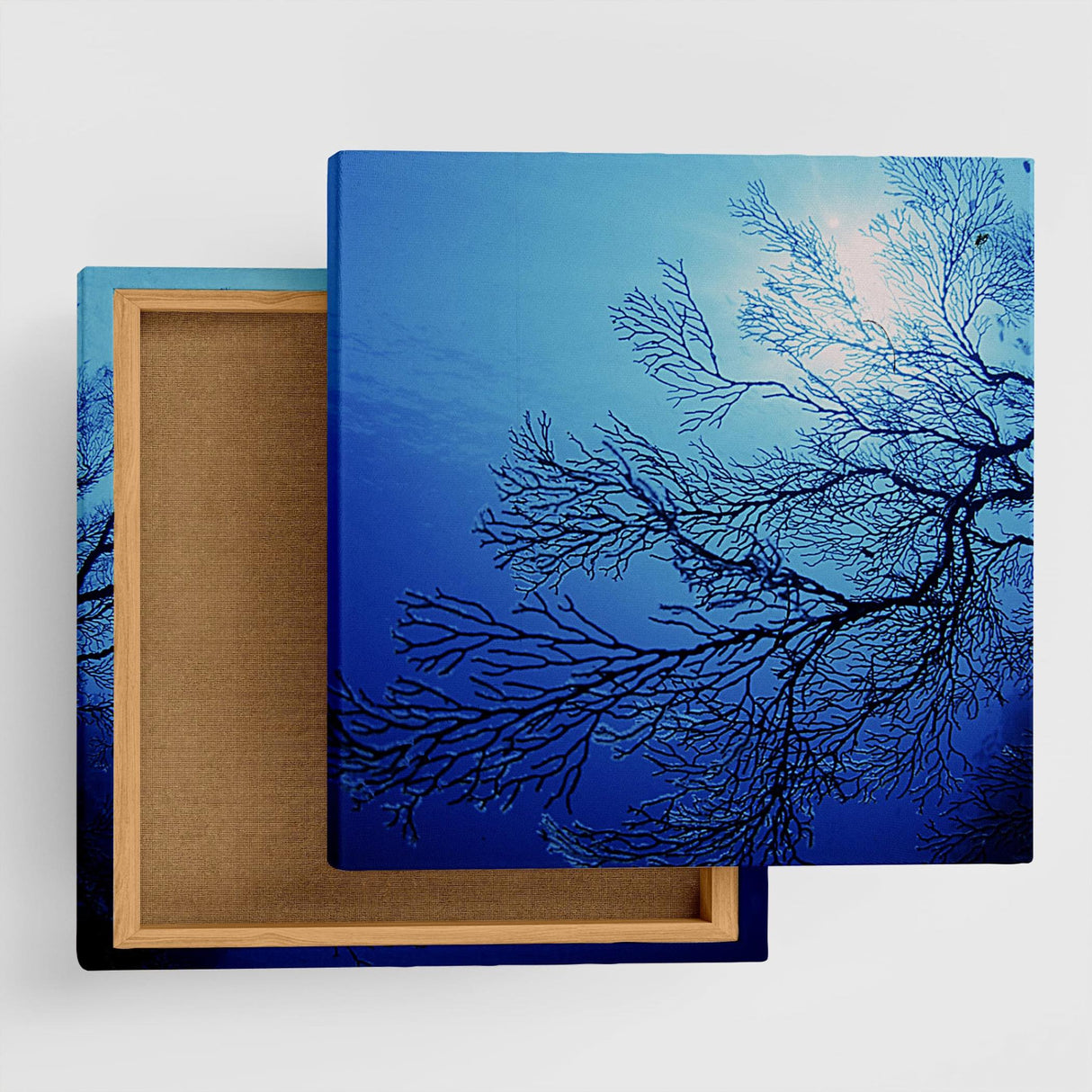 楠哲也氏が撮影したインテリア小物|水中 ポスター アート kus-0003 - ArtDeli. アートパネル専門店