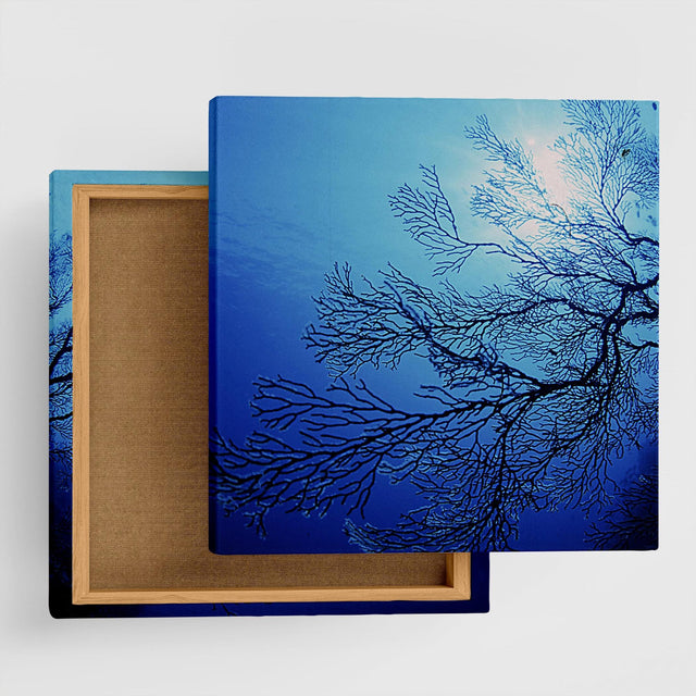 楠哲也氏が撮影したインテリア小物|水中 ポスター アート kus-0003 - ArtDeli. アートパネル専門店