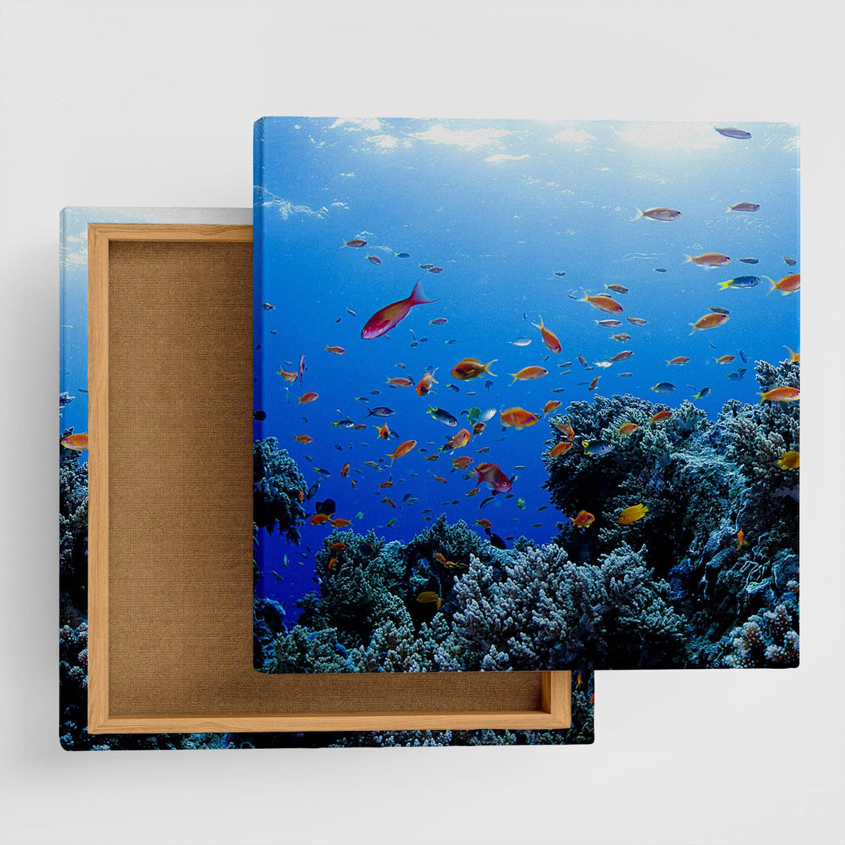 楠哲也氏が撮影したインテリア小物|三陸ボランティア 写真 アート kus-0005 - ArtDeli. アートパネル専門店