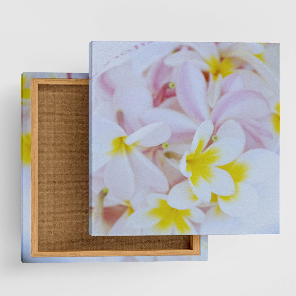 うみカメラマン「むらいさち」のファブリックパネル|花 インテリア 雑貨 mur-0001 - ArtDeli. アートパネル専門店