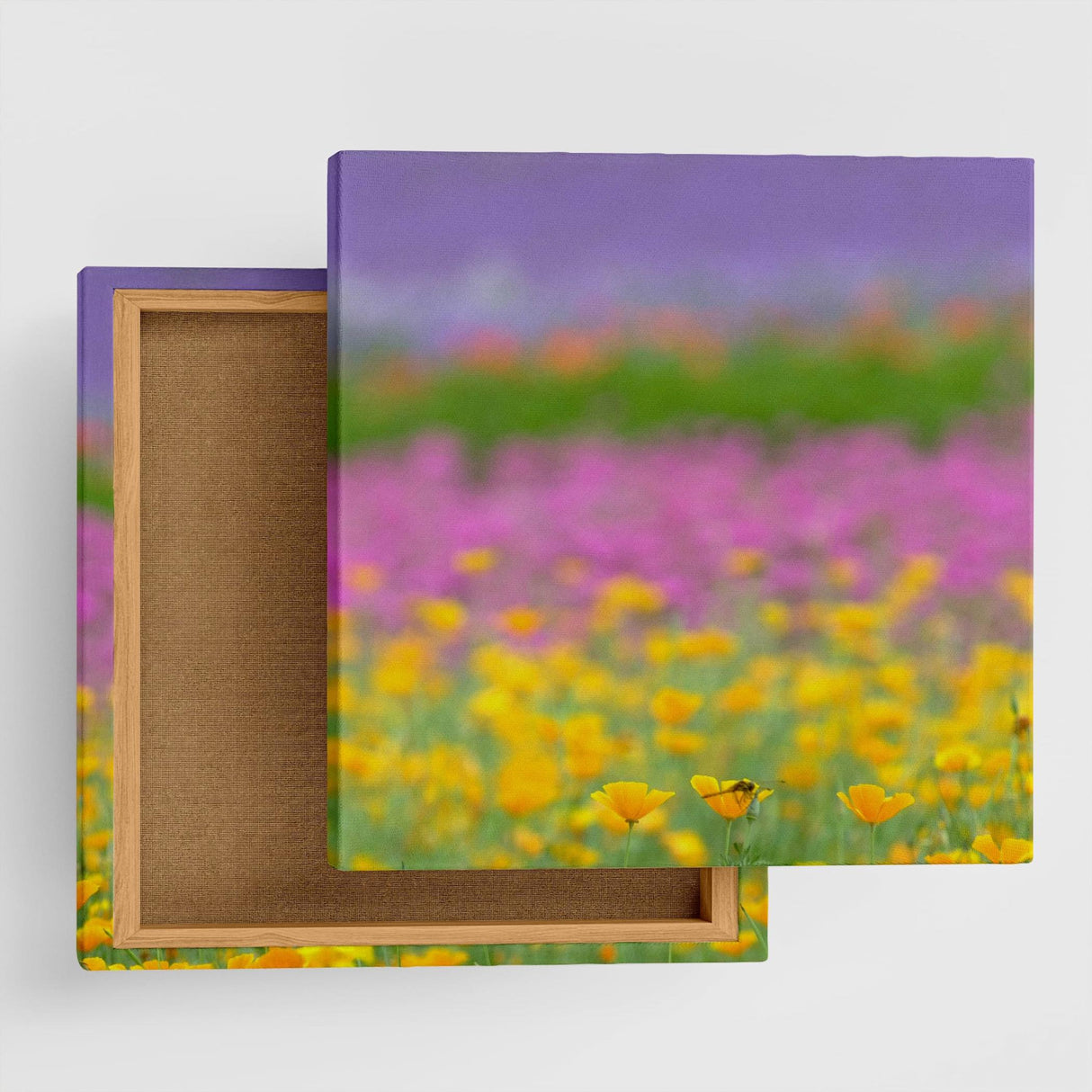 うみカメラマン「むらいさち」のファブリックパネル|花 壁掛け アート mur-0003 - ArtDeli. アートパネル専門店