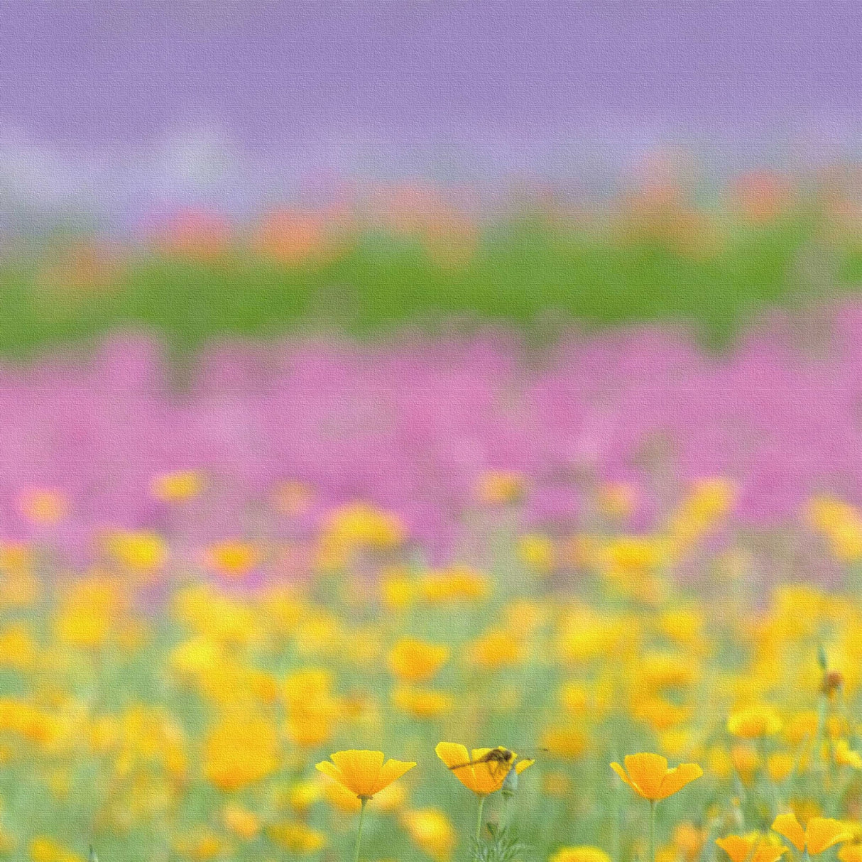 深呼吸するように視界がひらく – 花と光のスイッチアート