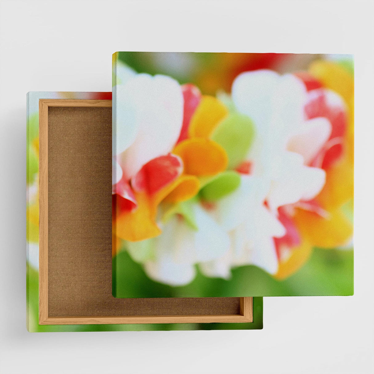 うみカメラマン「むらいさち」のファブリックパネル|花 インテリア アート mur-0006 - ArtDeli. アートパネル専門店