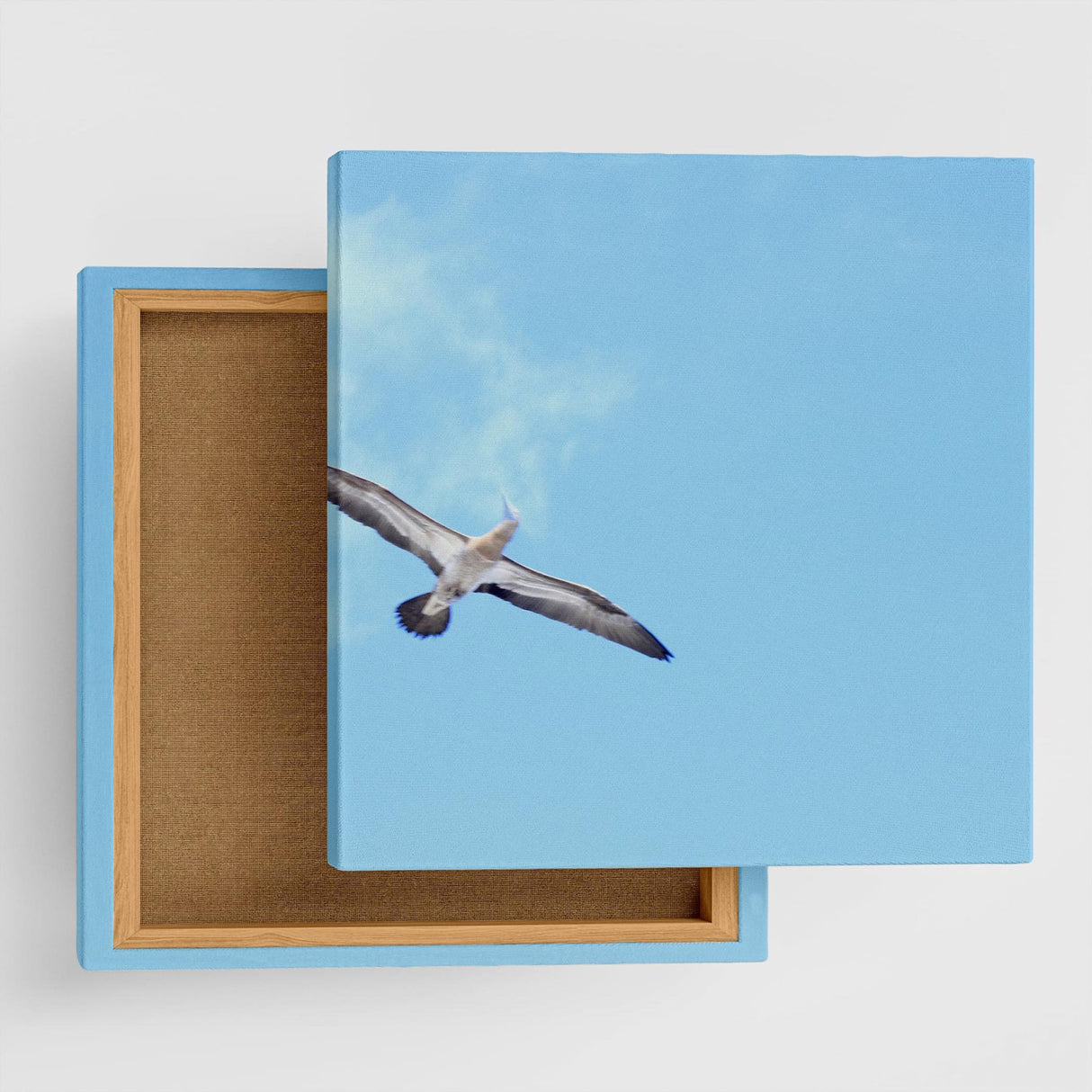 うみカメラマン「むらいさち」のファブリックパネル|青空 アート 雑貨 mur-0010 - ArtDeli. アートパネル専門店