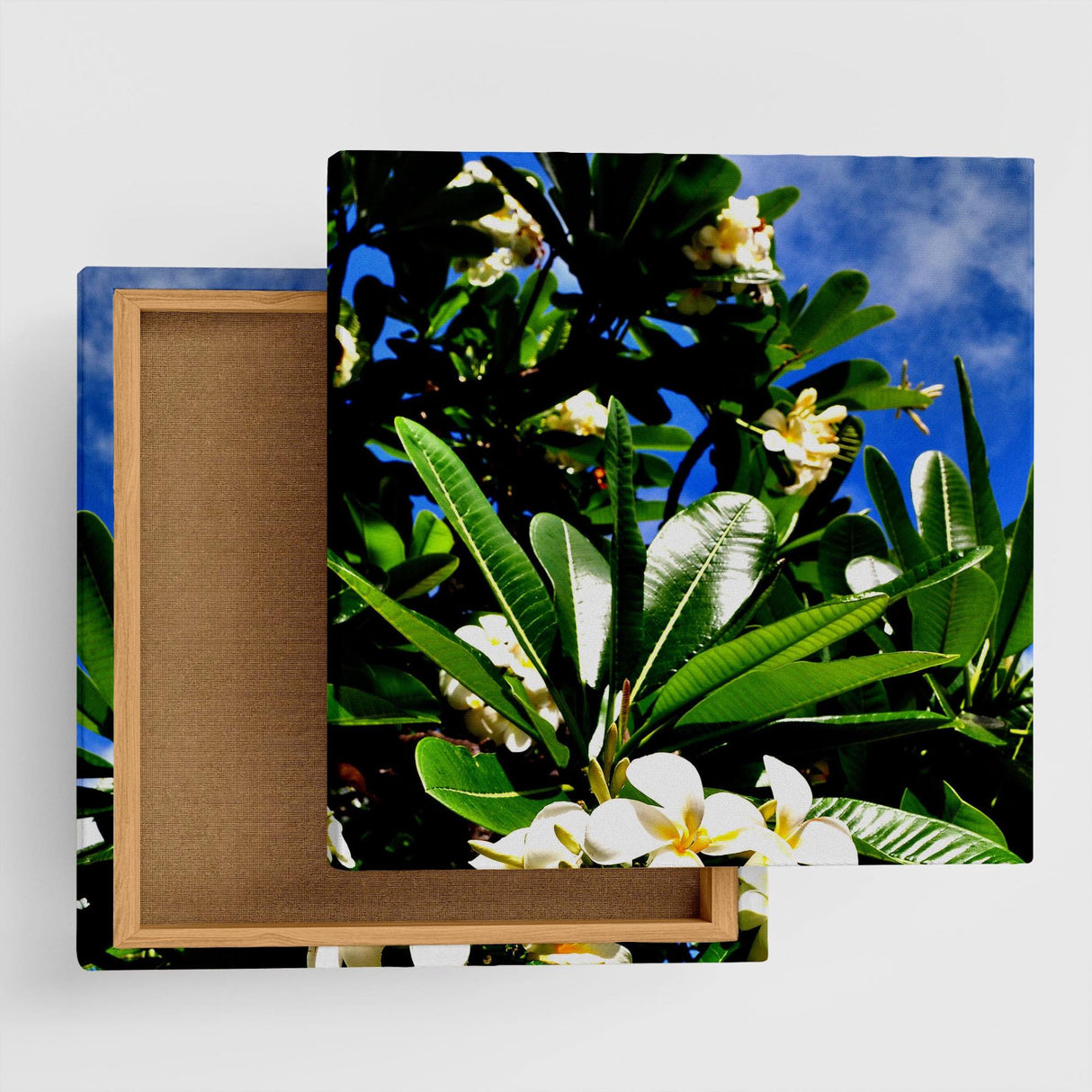 花モチーフのインテリア小物 アート 雑貨 pho-0059