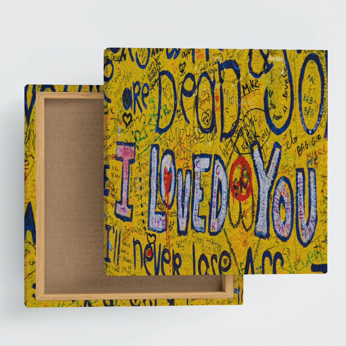 グラフィティの壁掛けアート インテリア雑貨 アートパネル キャンバス poht-1805-24