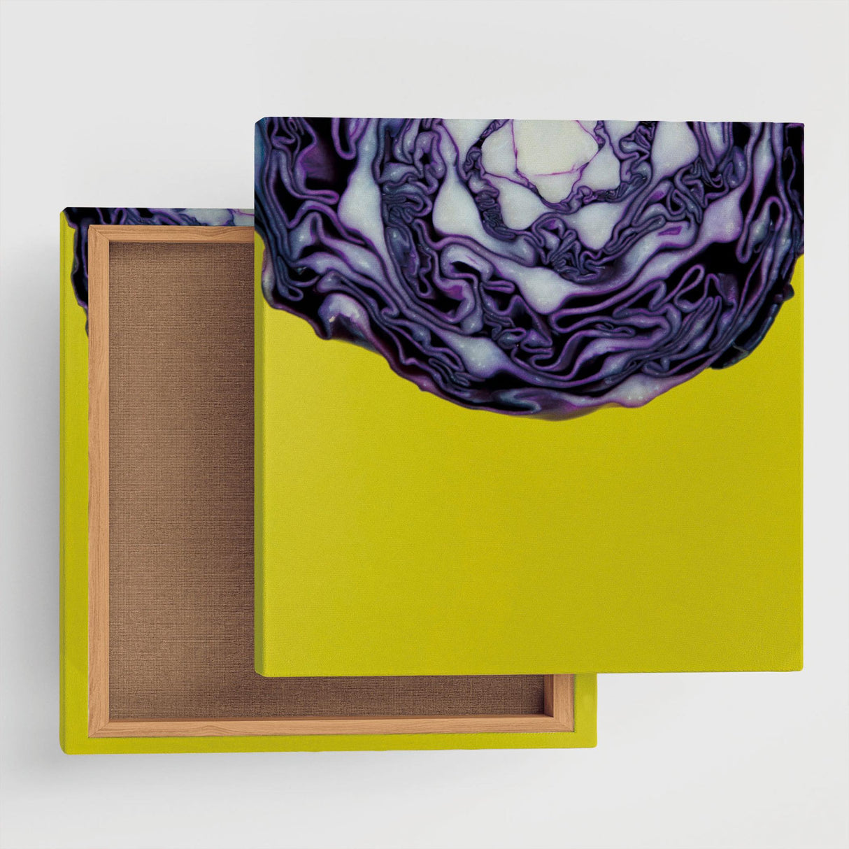 モダンアートのファブリックパネル インテリア雑貨 アートパネル キャンバス 野菜 phot-1812-002