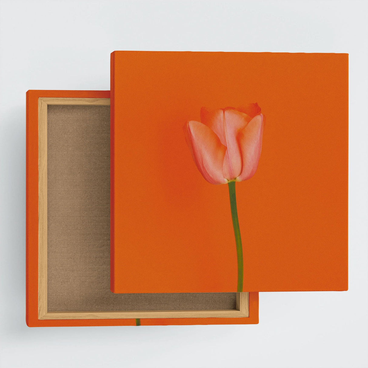 花のアートパネル インテリア雑貨 アートパネル キャンバス オレンジ poht-2205-05