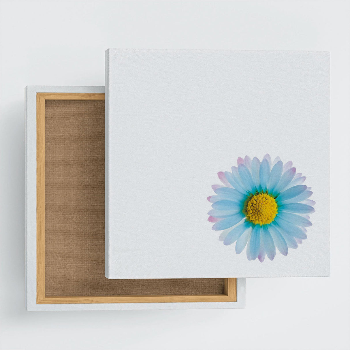 花のファブリックボード インテリア雑貨 アートパネル キャンバス ホワイト poht-2205-06