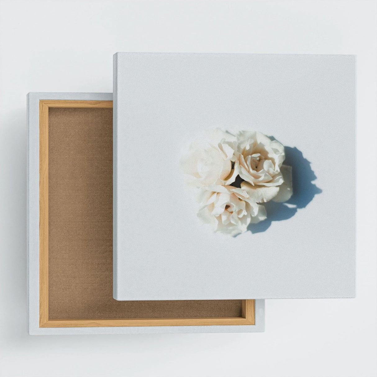 花のアートパネル インテリア雑貨 アートパネル キャンバス ホワイト poht-2205-11