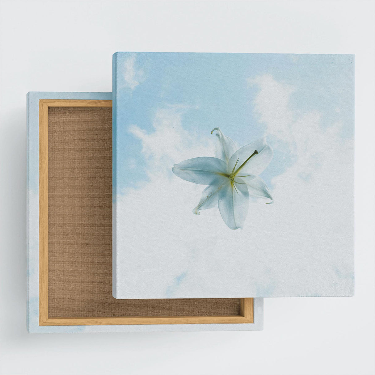 花のファブリックボード インテリア雑貨 アートパネル キャンバス ホワイト poht-2205-12