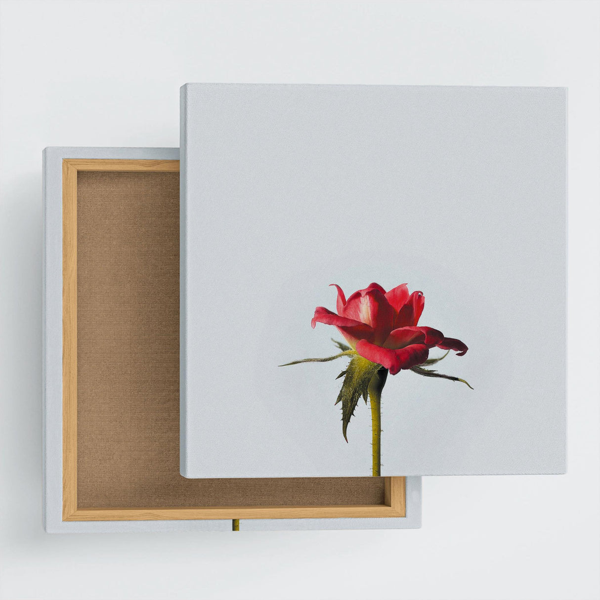 花のファブリックボード インテリア雑貨 アートパネル キャンバス ホワイト poht-2205-14