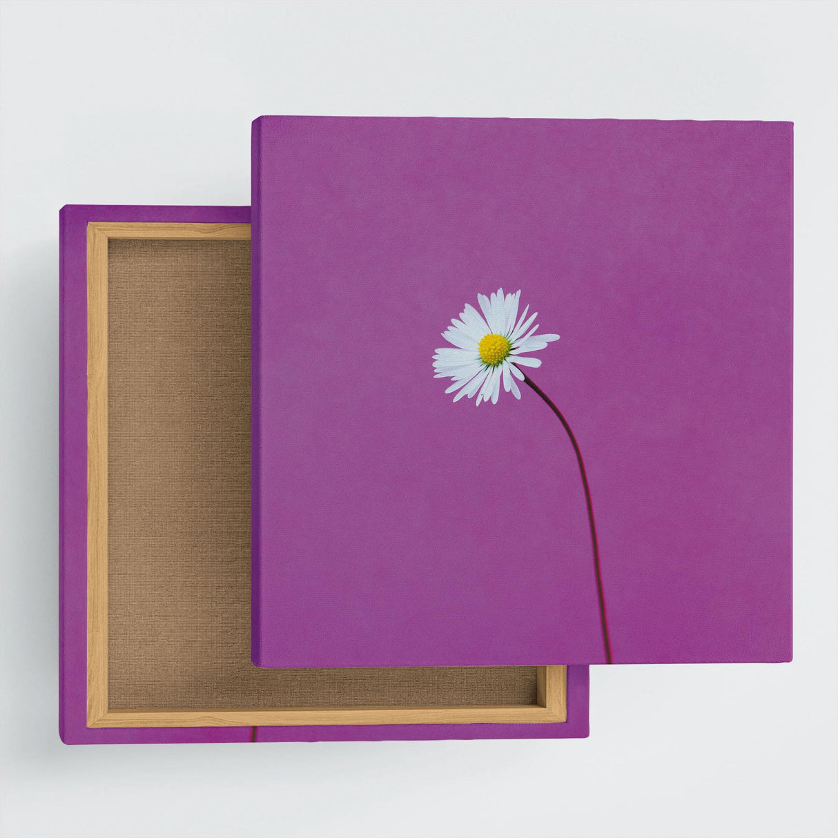 花のアートパネル インテリア雑貨 アートパネル キャンバス パープル poht-2205-15