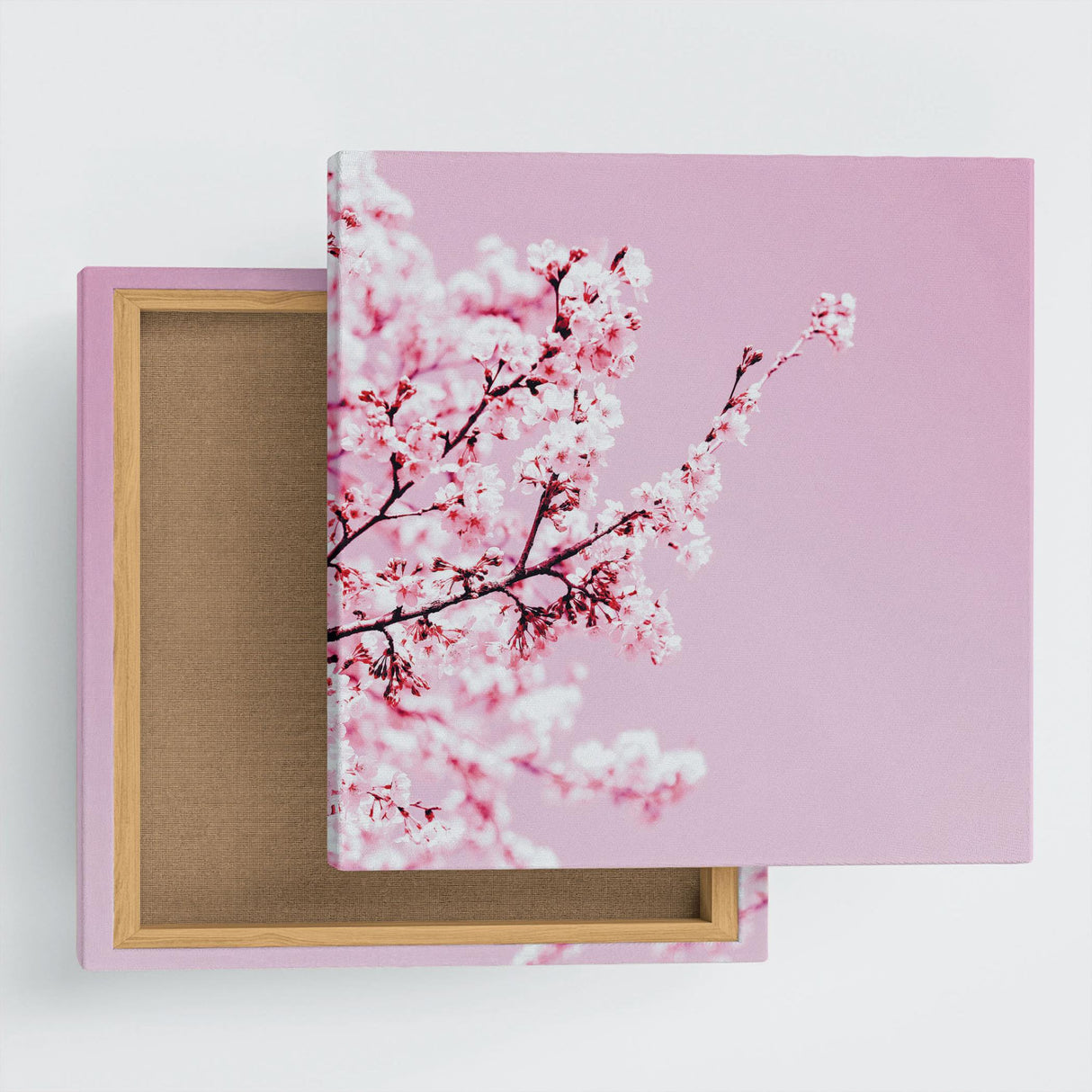 花のファブリックボード インテリア雑貨 アートパネル キャンバス ピンク 桜 poht-2205-16