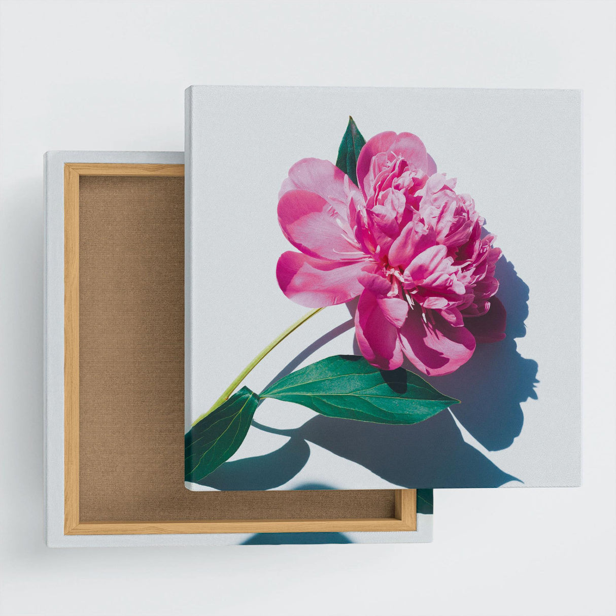花のアートパネル インテリア雑貨 アートパネル キャンバス ピンク poht-2205-21