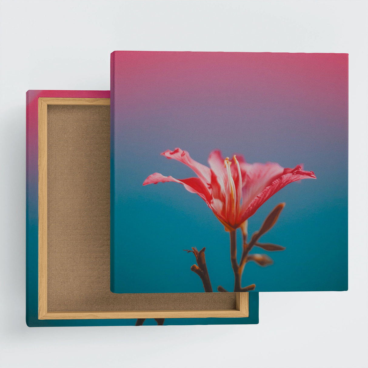 花のファブリックボード インテリア雑貨 アートパネル キャンバス ピンク poht-2205-24