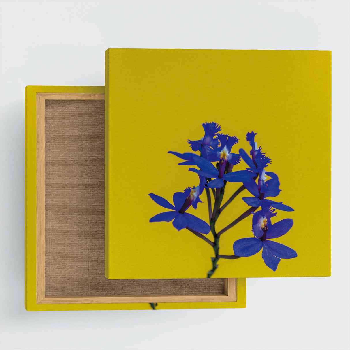 花のファブリックボード インテリア雑貨 アートパネル キャンバス イエロー poht-2205-26