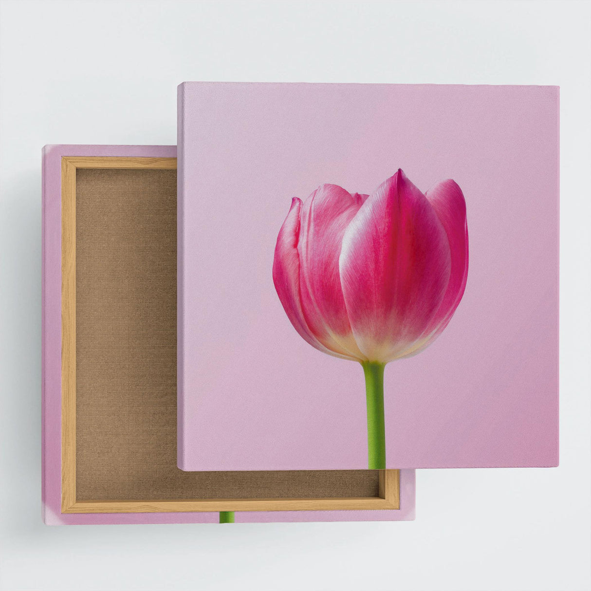 花のファブリックボード インテリア雑貨 アートパネル キャンバス ピンク poht-2205-30