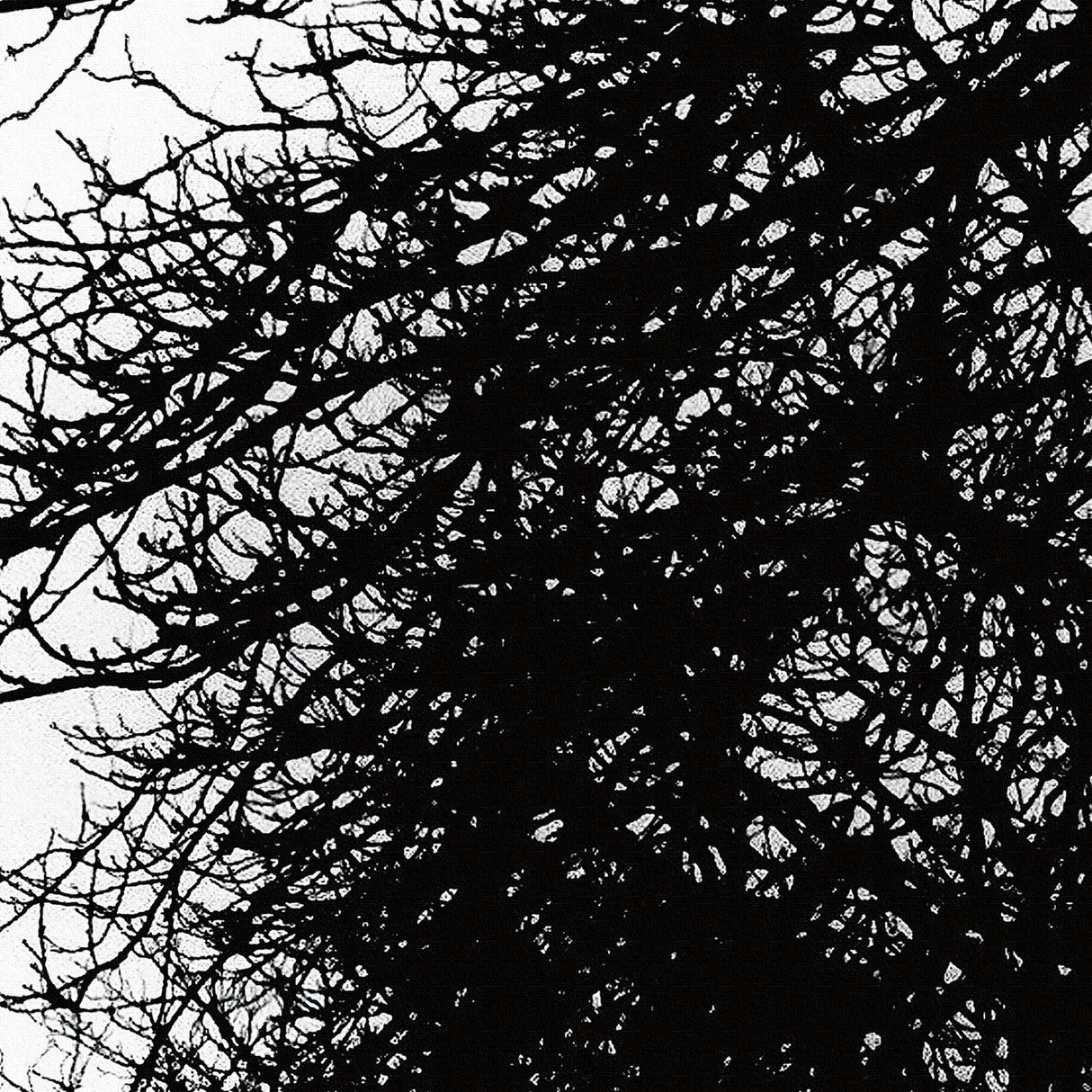 cruce&co.(クルーチェ・アンド・コー)のアートパネル インテリア アート cru-0001 - ArtDeli. アートパネル専門店