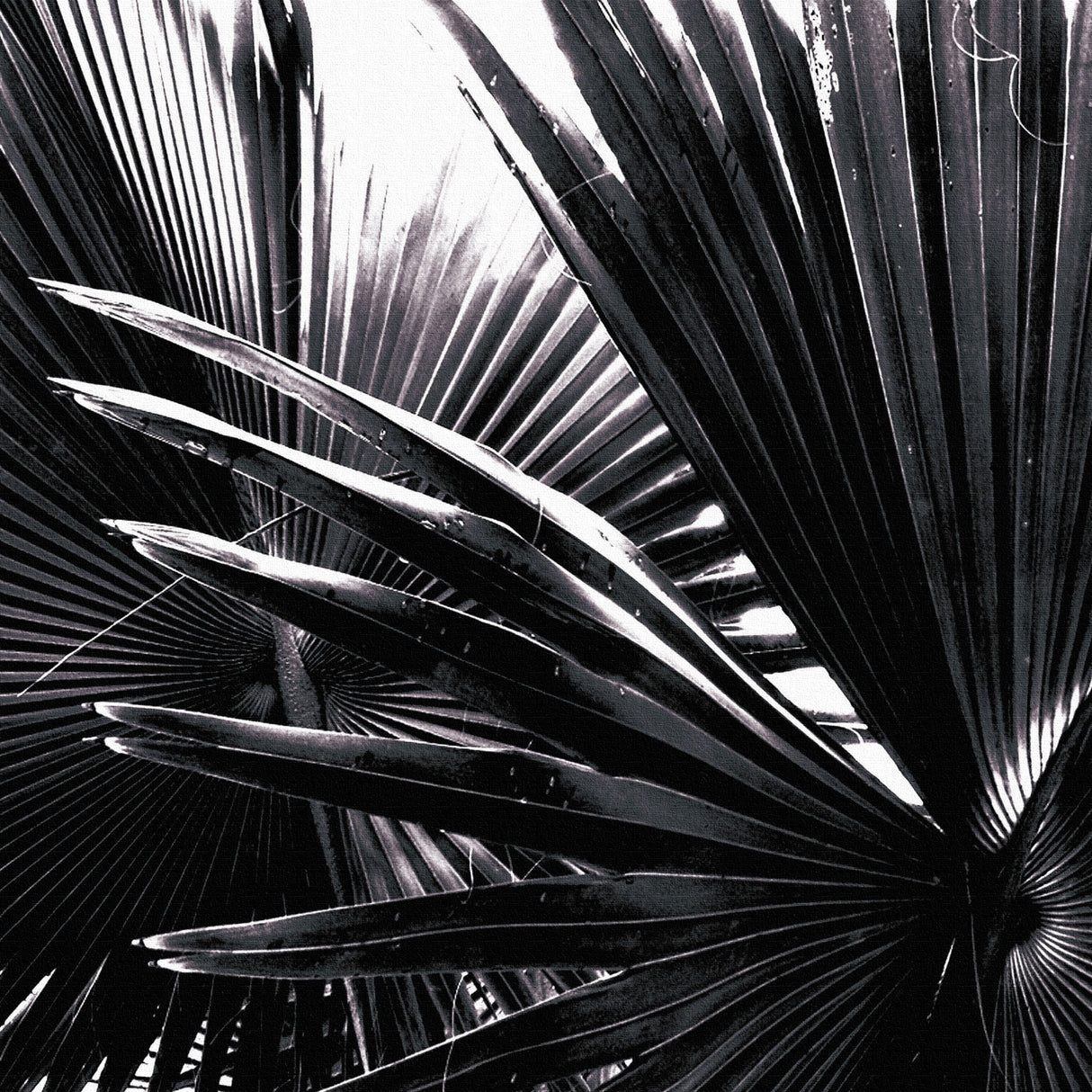 cruce&co.(クルーチェ・アンド・コー)のファブリックパネル 写真 壁掛け cru-0011 - ArtDeli. アートパネル専門店