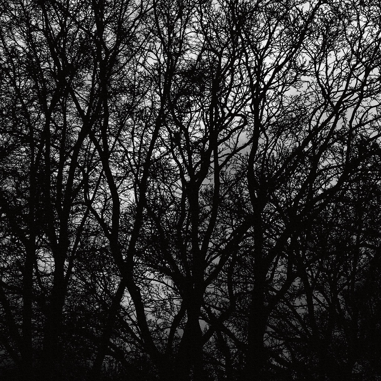 cruce&co.(クルーチェ・アンド・コー)のアートパネル ポスター アート cru-0017