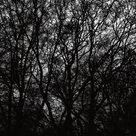 cruce&co.(クルーチェ・アンド・コー)のアートパネル ポスター アート cru-0017