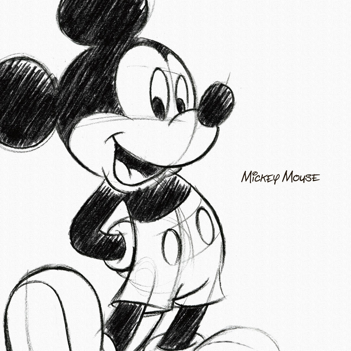 ミッキーのファブリックパネル ディズニー 一人暮らし dsn-0008