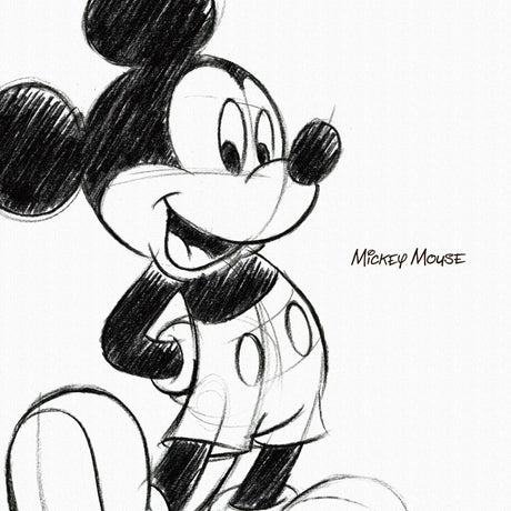 ミッキーのファブリックパネル ディズニー 一人暮らし dsn-0008