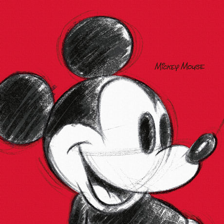 ディズニー(ミッキー)のファブリックパネル ディズニー アート dsn-0011