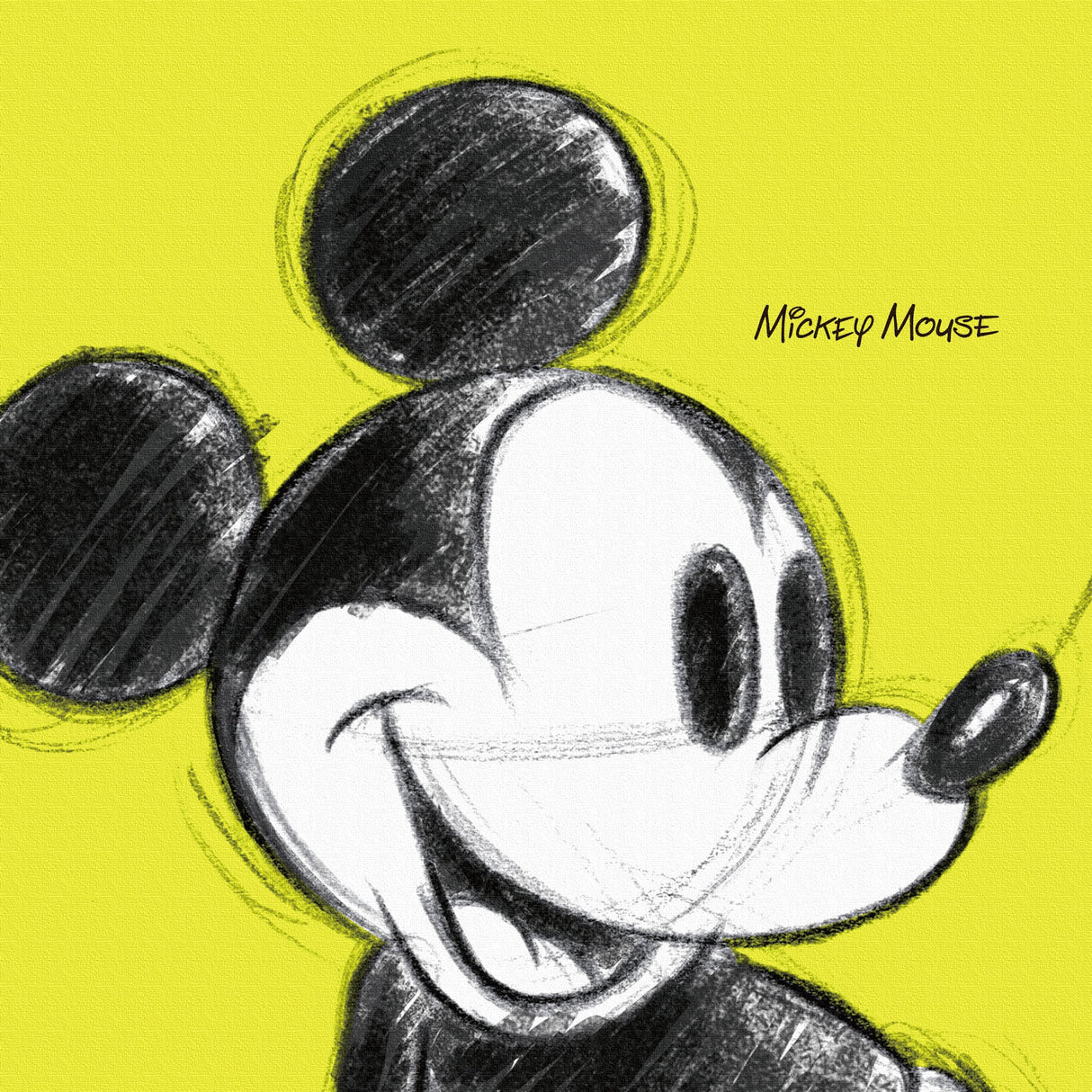 ディズニー(ミッキー)のファブリックパネル ディズニー ウォールデコ dsn-0012