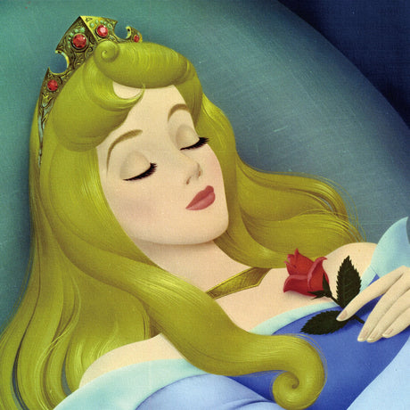 眠れる森の美女のファブリックボード オーロラ姫 マレフィセント dsn-0263 - ArtDeli. アートパネル専門店