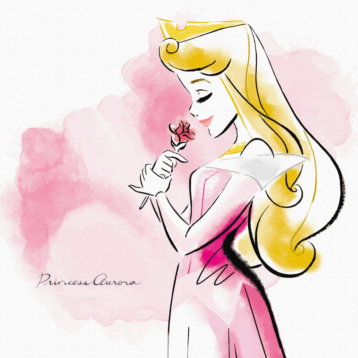 オーロラ姫の壁掛けアート インテリア雑貨 アートパネル キャンバス ディズニー プリンセス dsny-1901-010