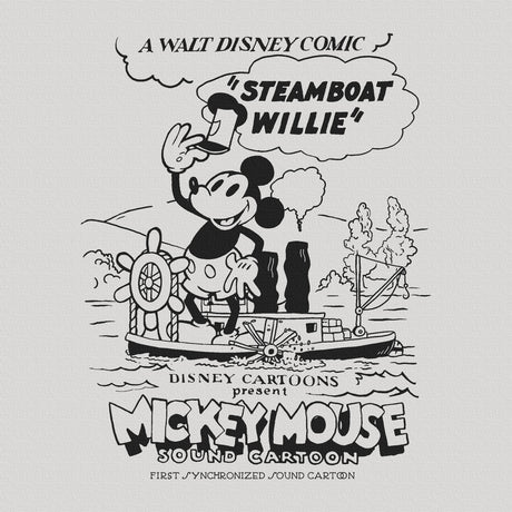 ミッキーマウスのファブリックボード インテリア雑貨 アートパネル キャンバス ディズニー 蒸気船ウィリー dsny-2303-06