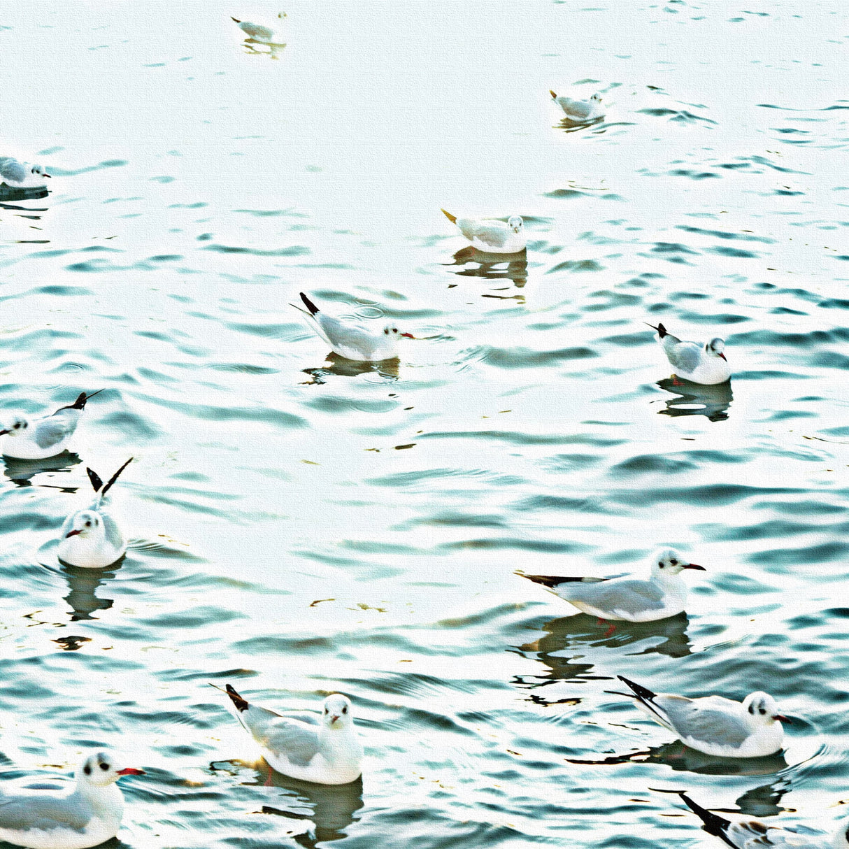 秦義之のファブリックパネル|水面 写真 壁掛け hat-0003 - ArtDeli. アートパネル専門店