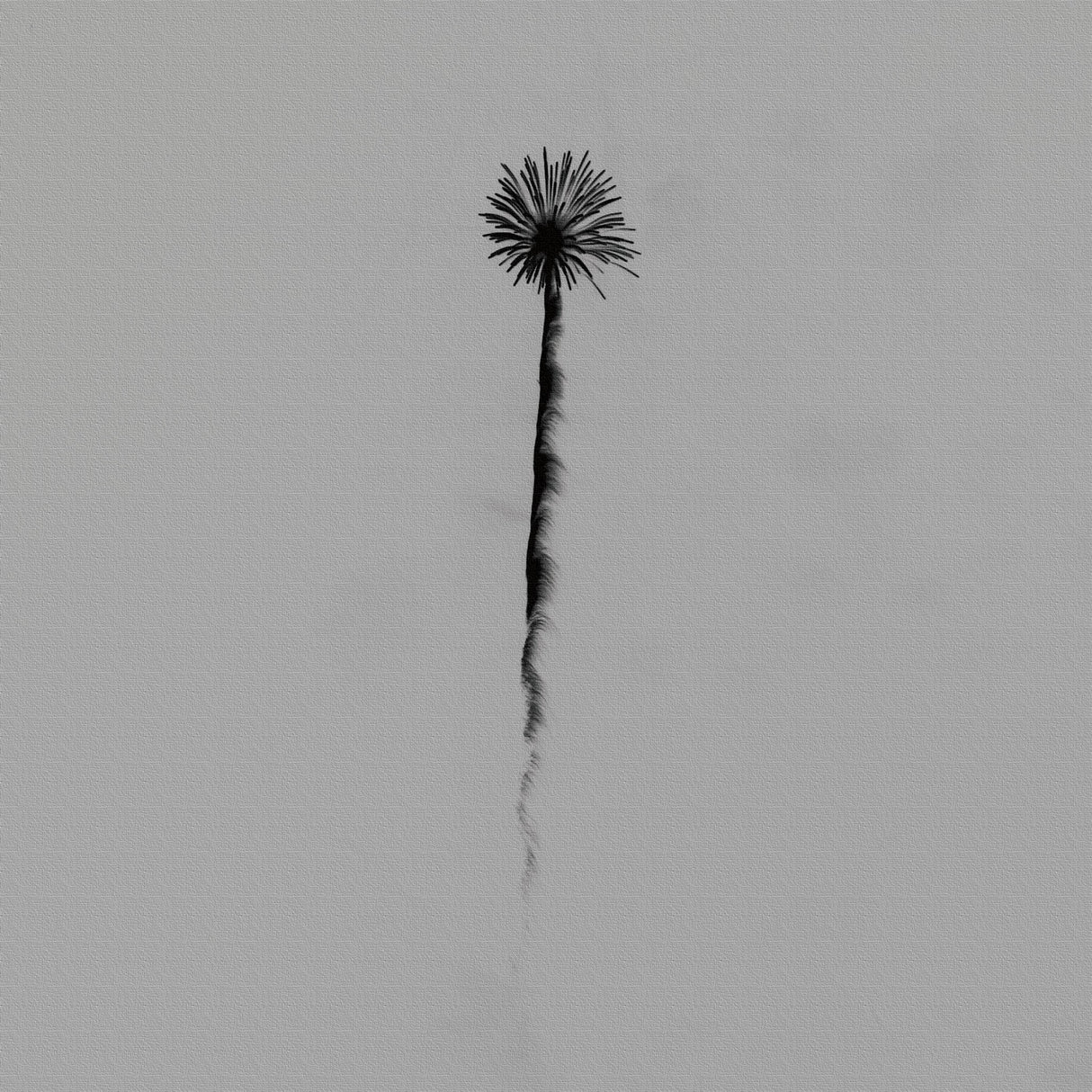 秦義之のファブリックパネル|写真 壁掛け アート hat-0006 - ArtDeli. アートパネル専門店