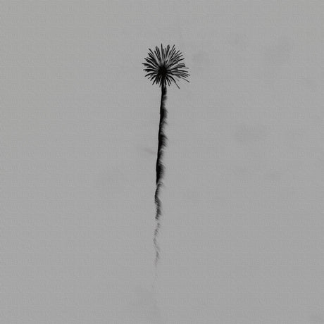 秦義之のファブリックパネル|写真 壁掛け アート hat-0006 - ArtDeli. アートパネル専門店