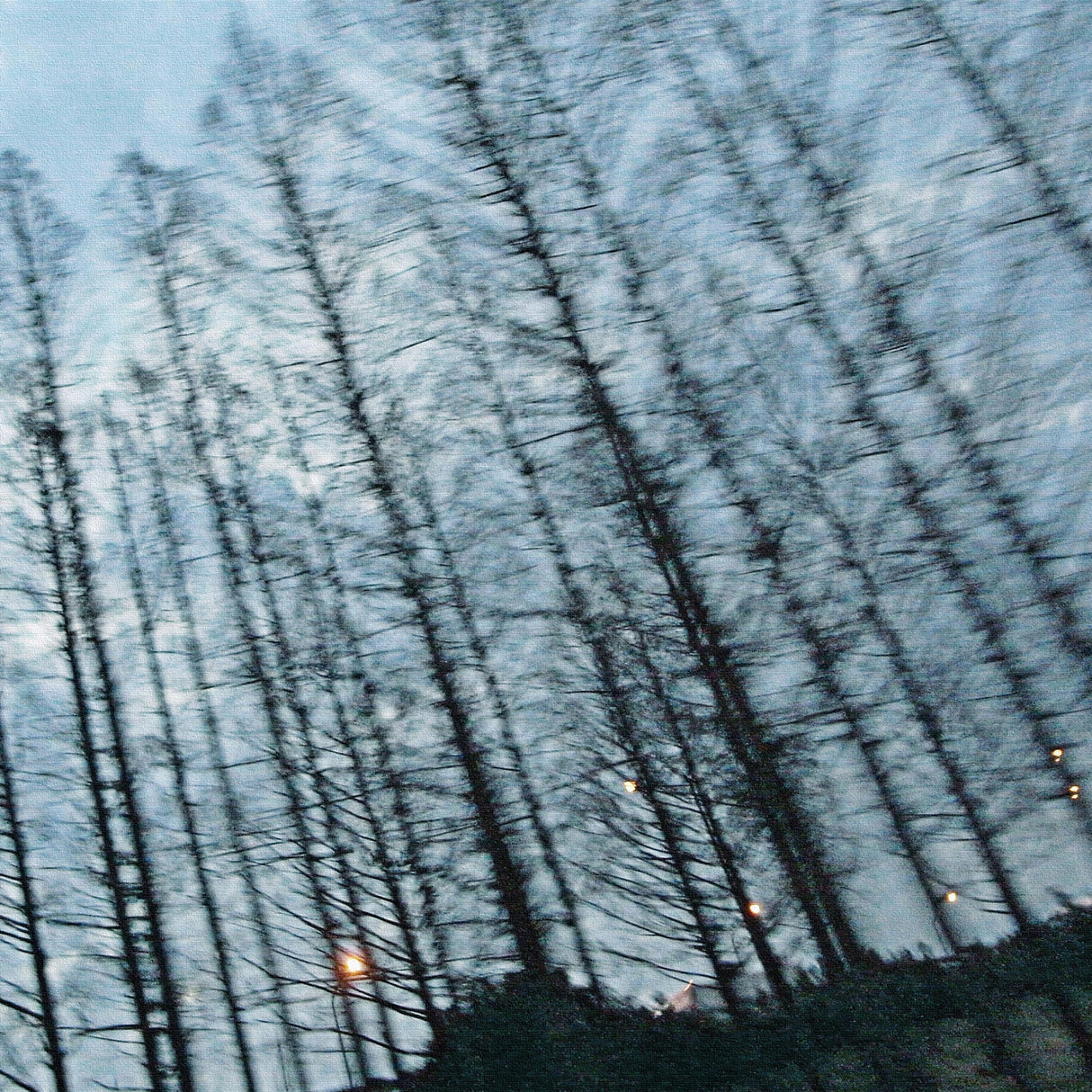 秦義之のファブリックパネル|森 ポスター アート hat-0009 - ArtDeli. アートパネル専門店