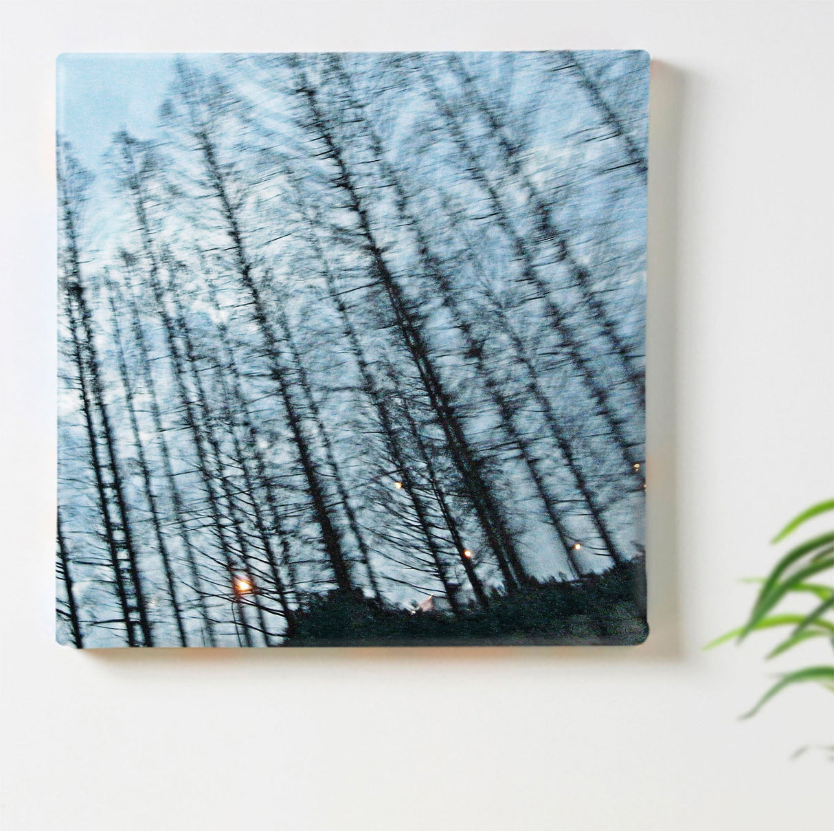 秦義之のファブリックパネル|森 ポスター アート hat-0009 - ArtDeli. アートパネル専門店