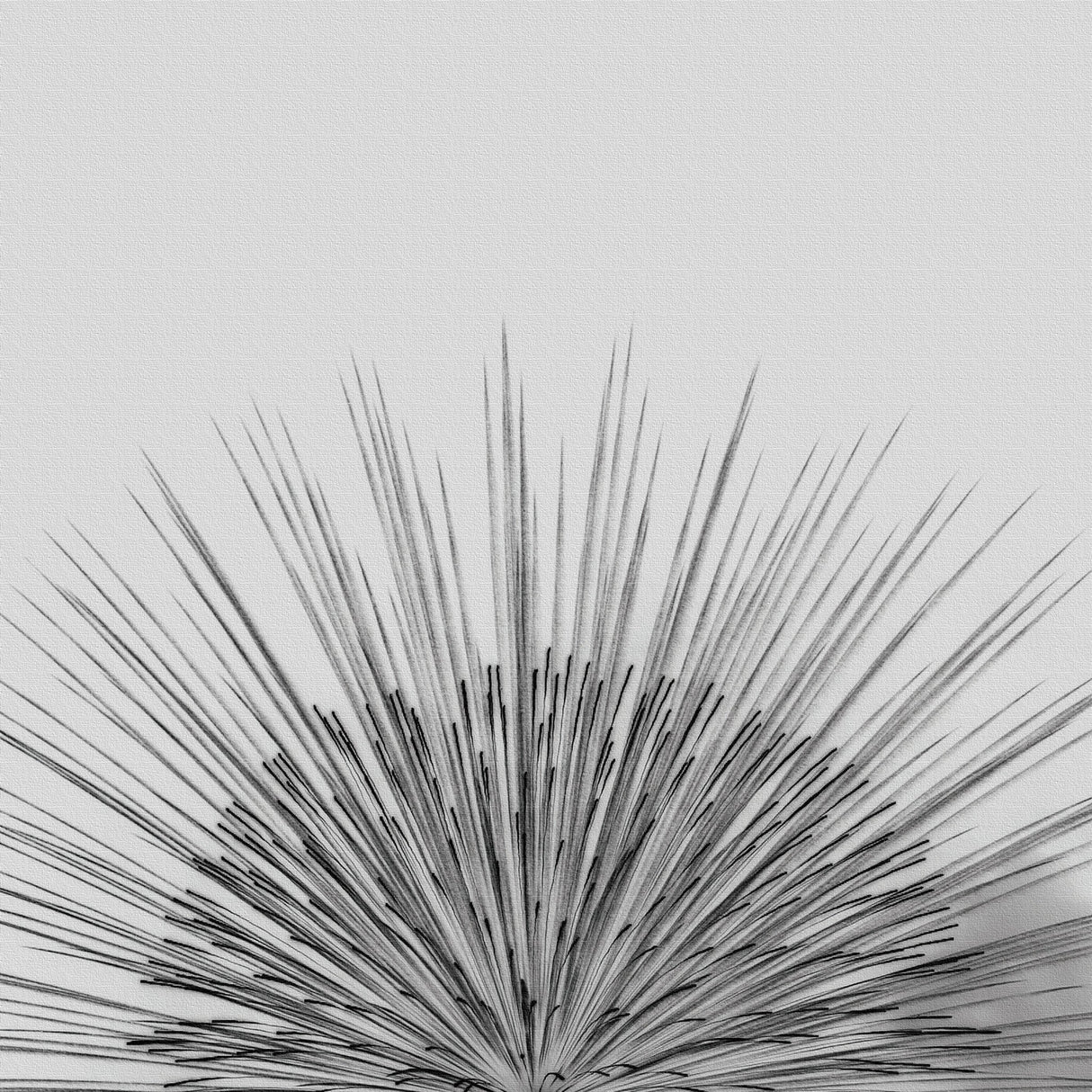 秦義之のファブリックパネル 写真 壁掛け hat-0013 - ArtDeli. アートパネル専門店