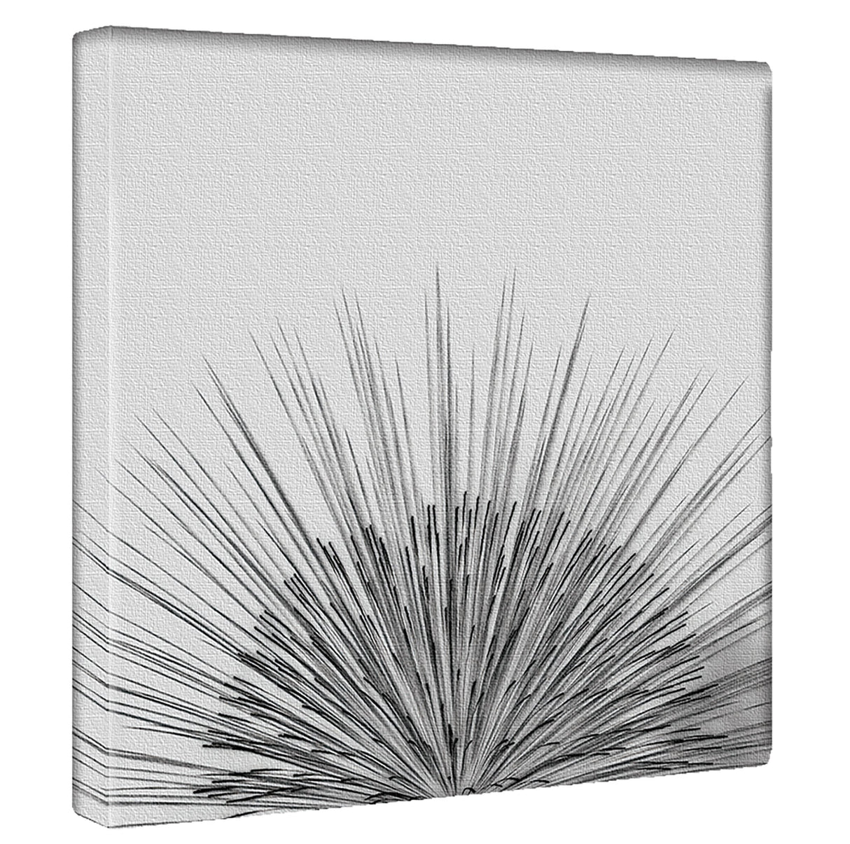 秦義之のファブリックパネル 写真 壁掛け hat-0013 - ArtDeli. アートパネル専門店