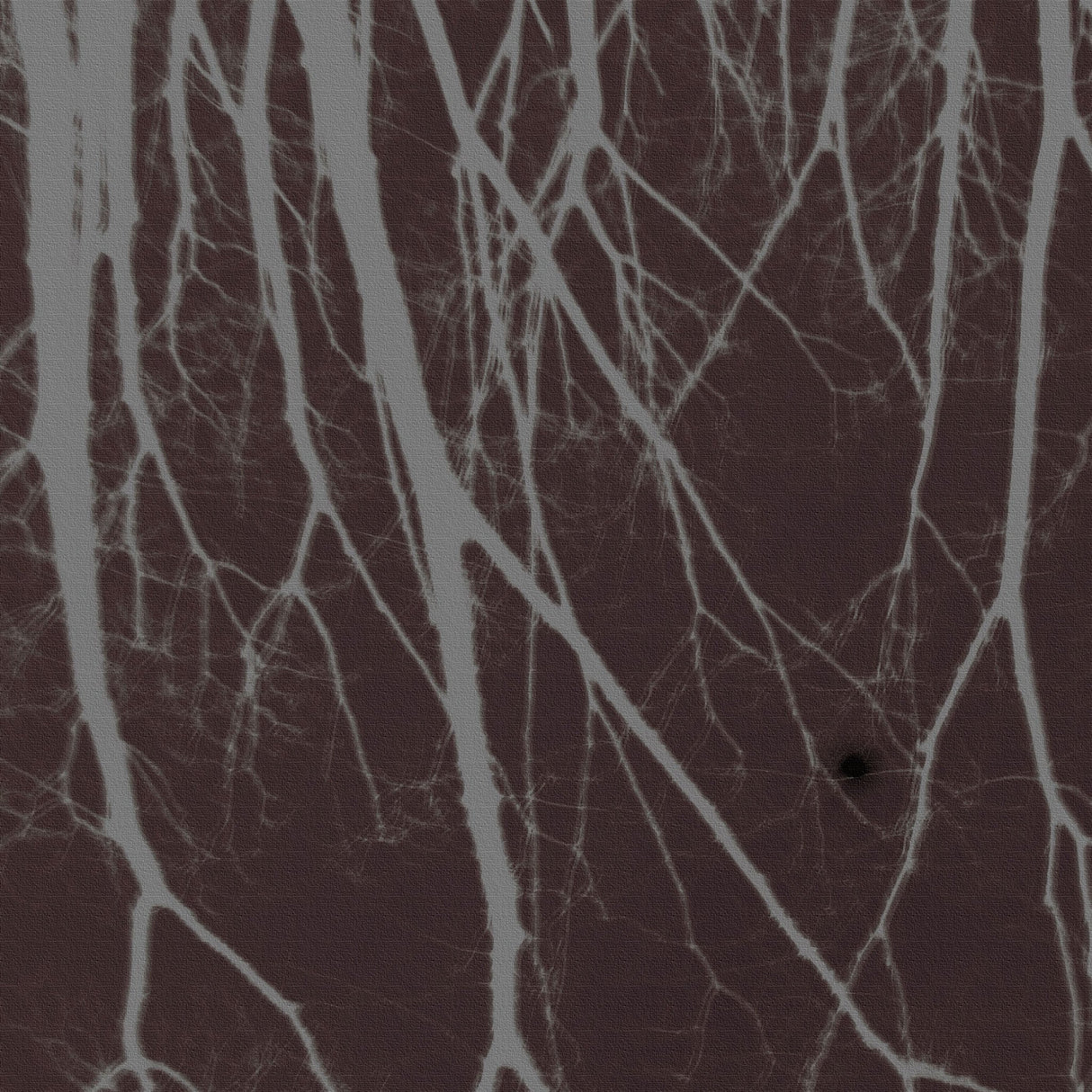 秦義之のファブリックパネル 写真 アート hat-0022 - ArtDeli. アートパネル専門店