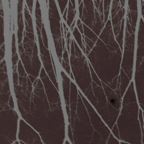 秦義之のファブリックパネル 写真 アート hat-0022 - ArtDeli. アートパネル専門店