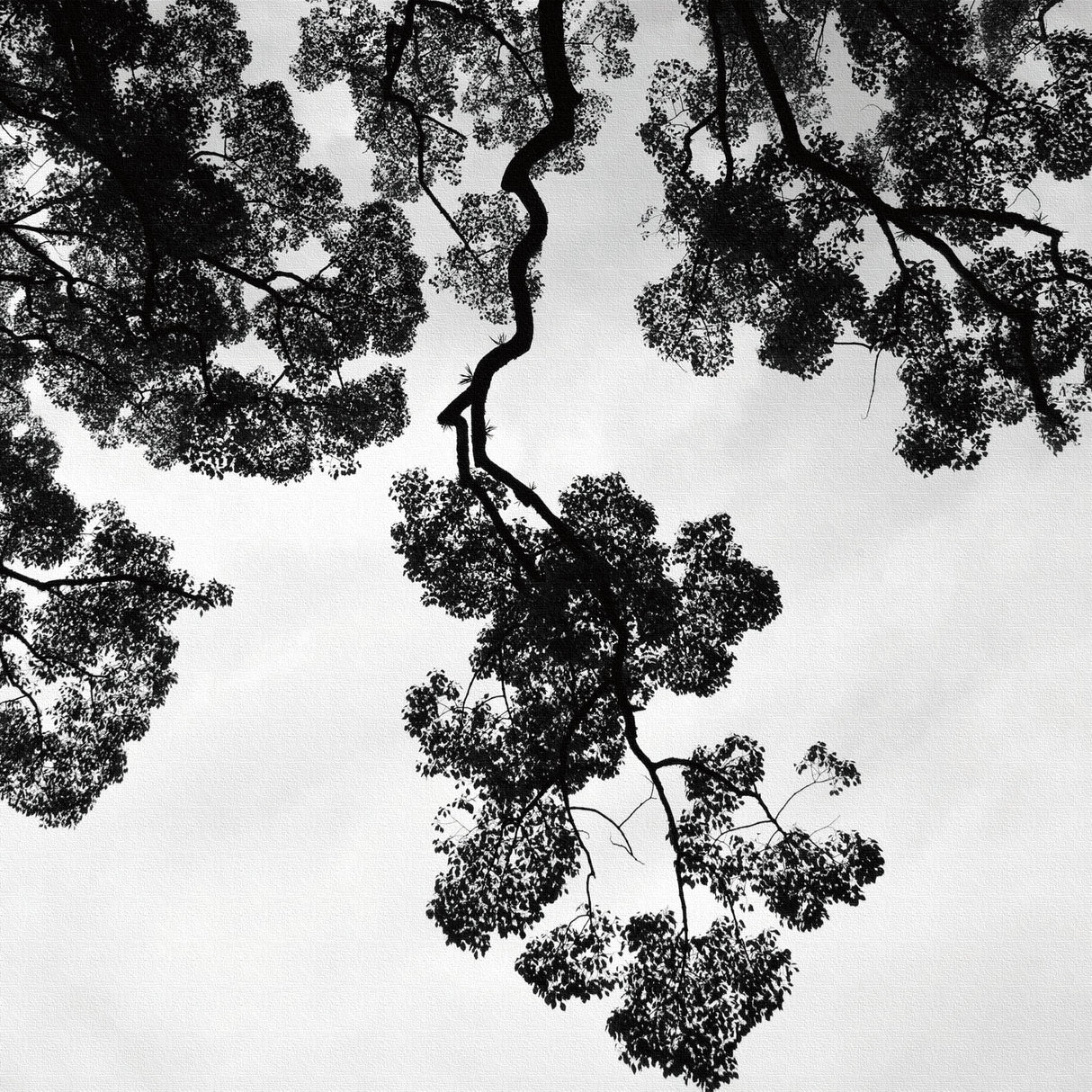 秦義之のファブリックパネル インテリア 雑貨 hat-0024 - ArtDeli. アートパネル専門店