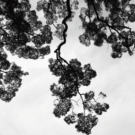 秦義之のファブリックパネル インテリア 雑貨 hat-0024 - ArtDeli. アートパネル専門店