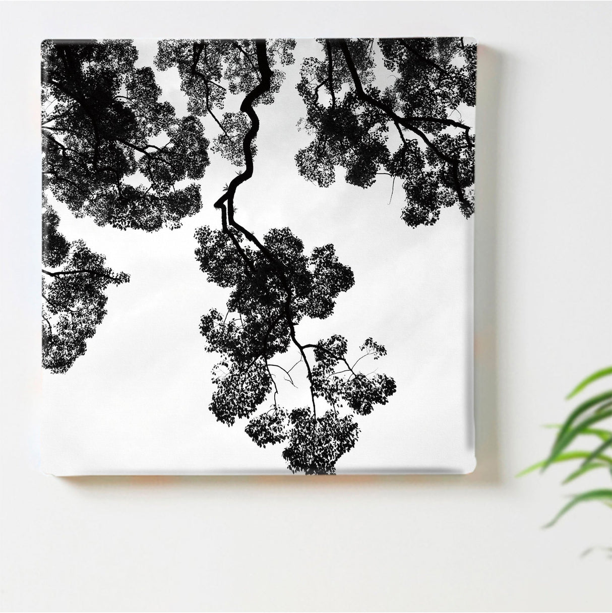 秦義之のファブリックパネル インテリア 雑貨 hat-0024 - ArtDeli. アートパネル専門店