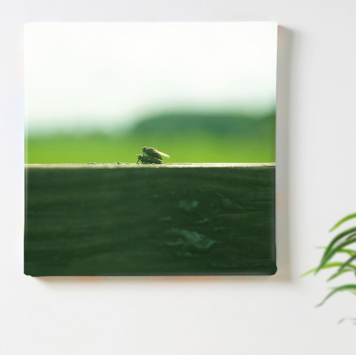 秦義之のファブリックパネル ウォールデコ インテリア hat-0026 - ArtDeli. アートパネル専門店