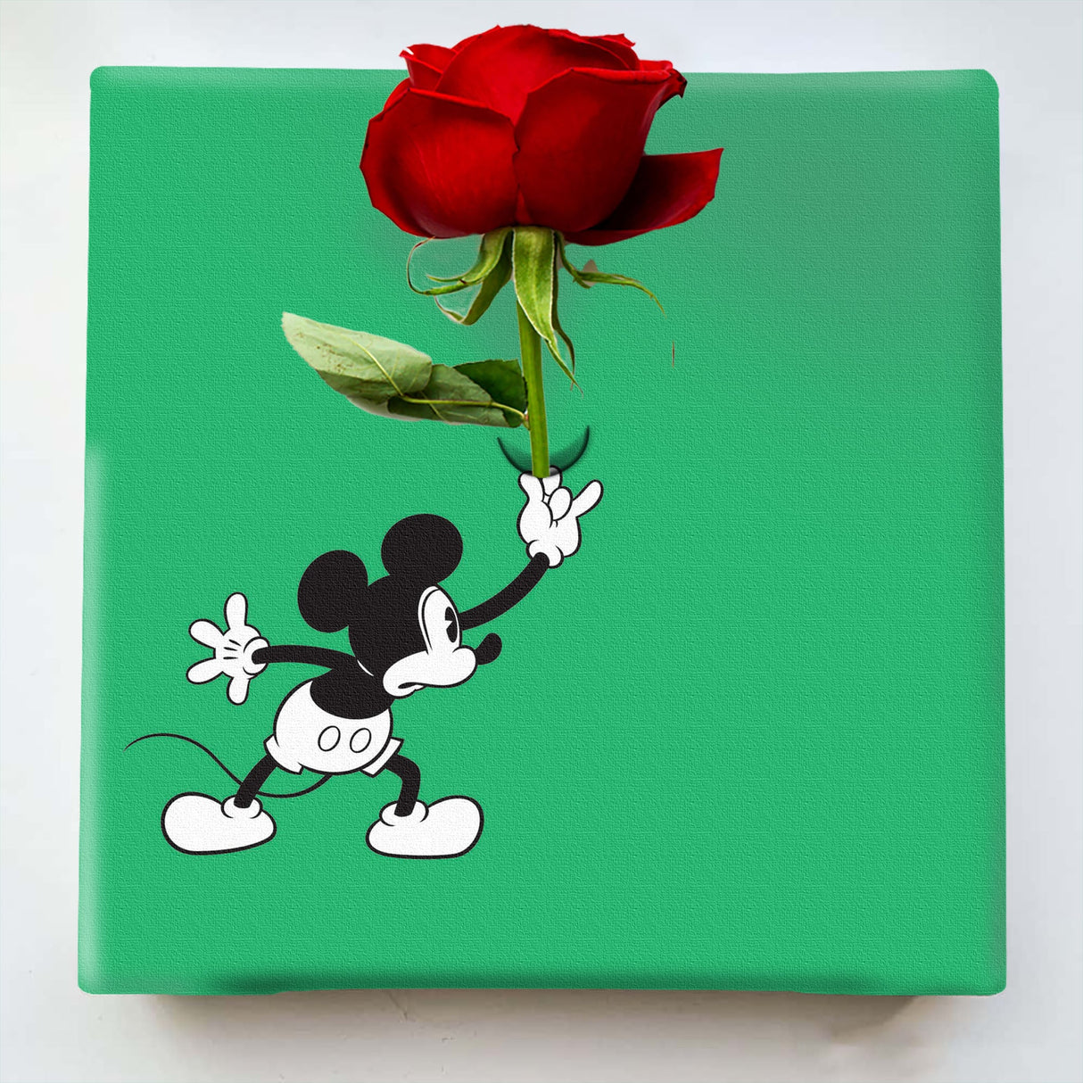 ミッキーマウスのIKEBANA 生きてるインテリア IKE-DSNY-1807-02