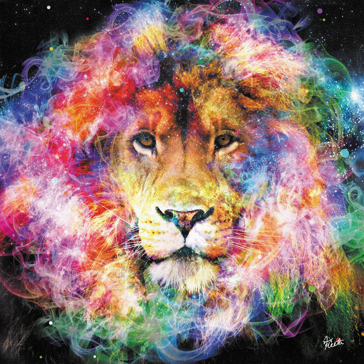 Galaxy Graphicsのファブリックパネル インテリア 雑貨 アート グラフィックアート ket-0001 - ArtDeli. アートパネル専門店